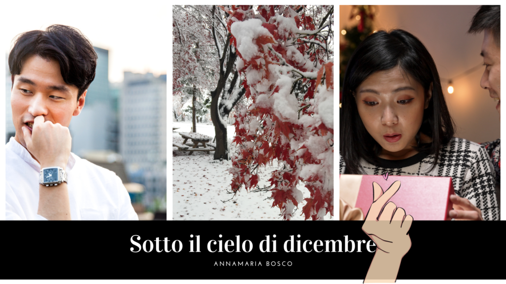 Libri di Natale
Teaser del libro sotto il cielo di dicembre, inverno a Seoul e i protagonisti